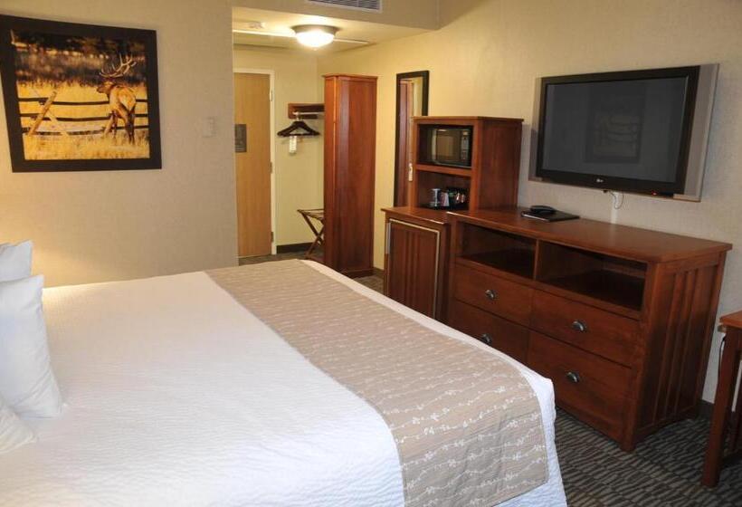 اتاق لوکس با تخت بزرگ, C'mon Inn Missoula