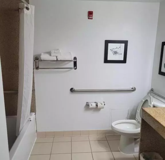 キングサイズベッドのスタンダードルーム, Country Inn & Suites By Radisson, Washington, D.c. East  Capitol Heights, Md