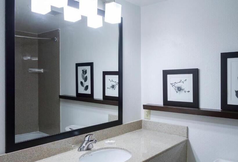 스탠다드 룸 킹사이즈 침대, Country Inn & Suites By Radisson, Washington, D.c. East  Capitol Heights, Md