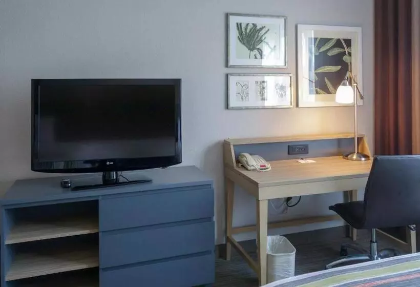 キングサイズベッドのスタンダードルーム, Country Inn & Suites By Radisson, Washington, D.c. East  Capitol Heights, Md