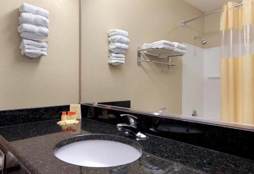 جناح ديلوكس سرير كينج, Days Inn & Suites By Wyndham Lakeland