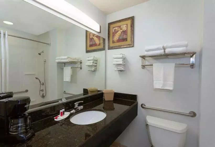 اتاق استاندارد, Days Inn & Suites By Wyndham Lakeland