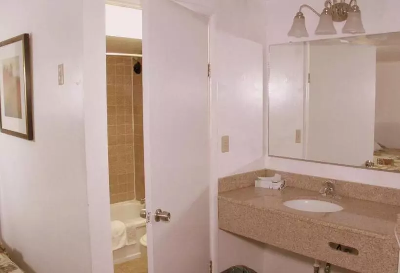 キングサイズベッドのスタンダードルーム, Executive Inn & Suites