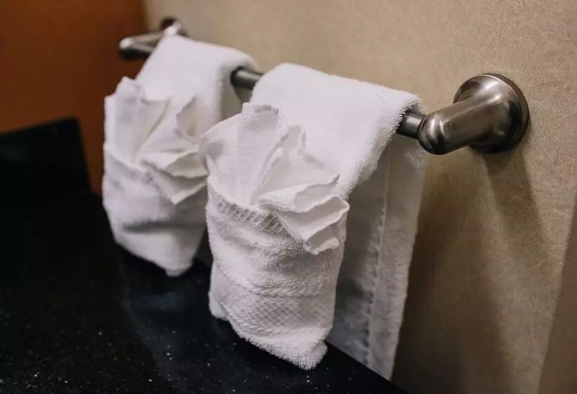 スイート, Hampton Inn & Suites Effingham