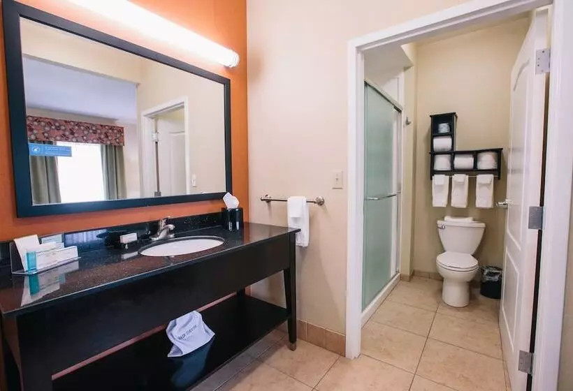 スイート, Hampton Inn & Suites Effingham