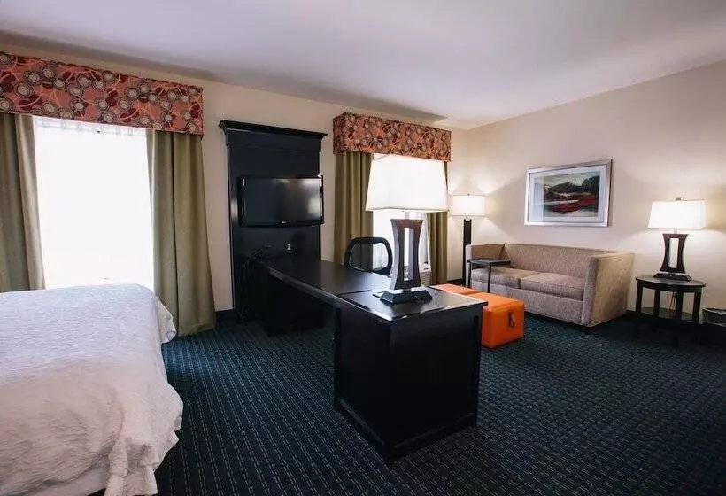 スイート, Hampton Inn & Suites Effingham