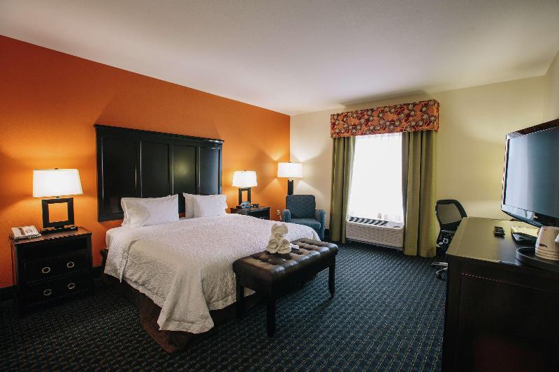 스탠다드 룸 킹사이즈 침대, Hampton Inn & Suites Effingham