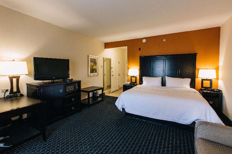 غرفة قياسية سرير كينج, Hampton Inn & Suites Effingham