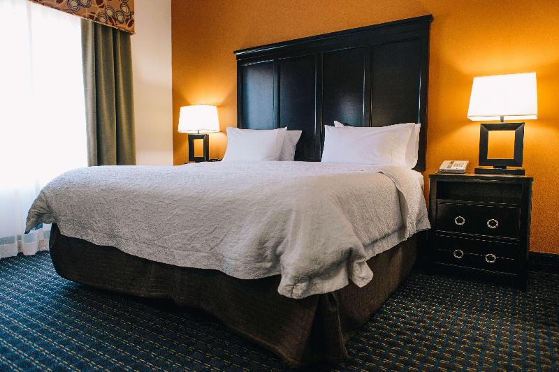 스탠다드 룸 킹사이즈 침대, Hampton Inn & Suites Effingham