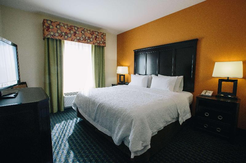 جناح سرير كينج, Hampton Inn & Suites Effingham