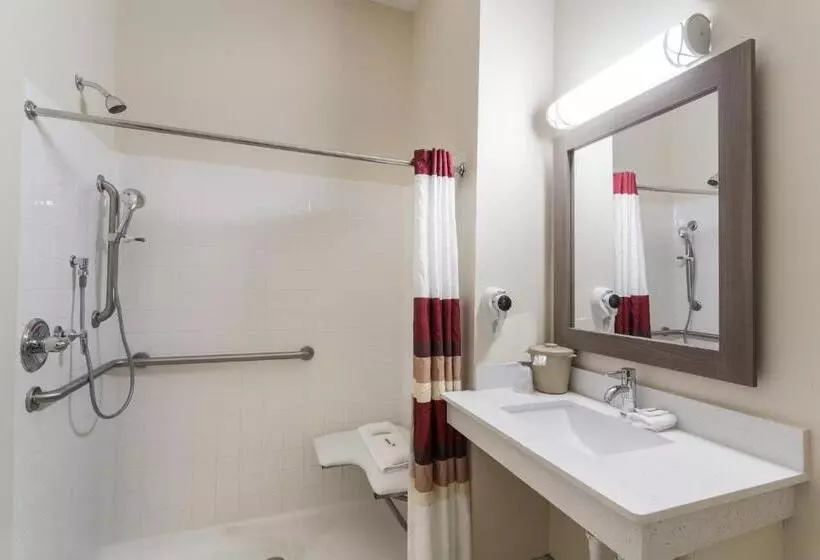身障者適用スーペリアールーム, Red Roof Inn Panama City