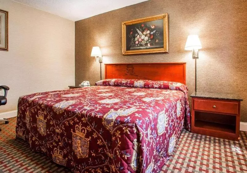 キングサイズベッドのスタンダードルーム, Rodeway Inn