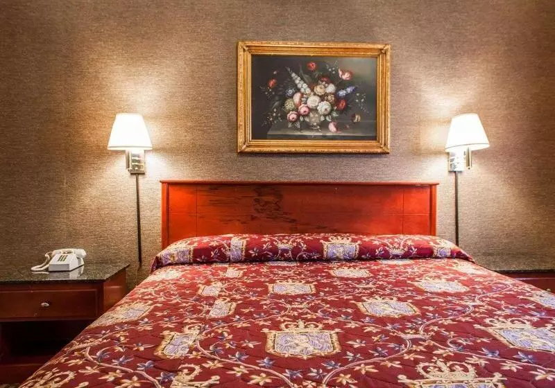 キングサイズベッドのスタンダードルーム, Rodeway Inn