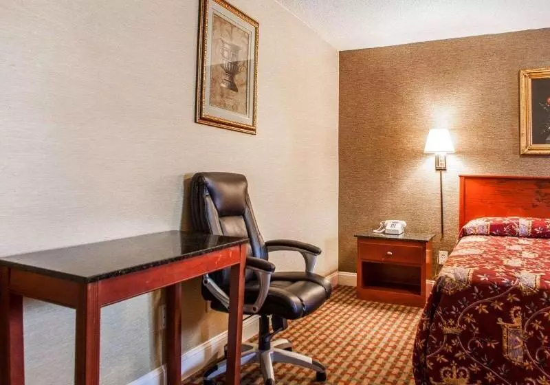 キングサイズベッドのスタンダードルーム, Rodeway Inn