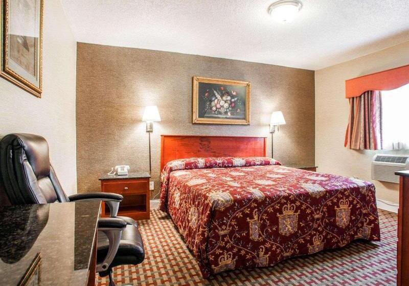 스탠다드 룸 킹사이즈 침대, Rodeway Inn