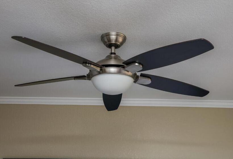 キングサイズベッドのスタンダードルーム, Sea Breeze Inn San Simeon