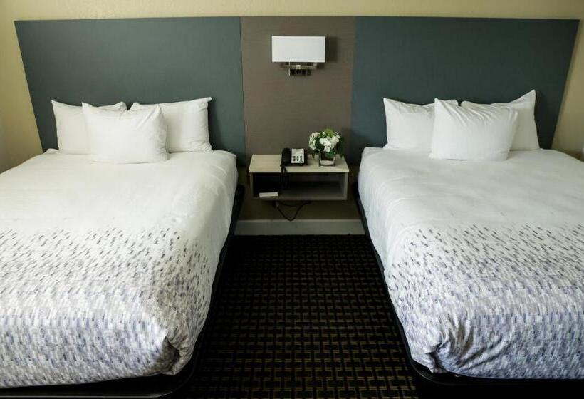 スタンダードルーム, Sea Breeze Inn San Simeon