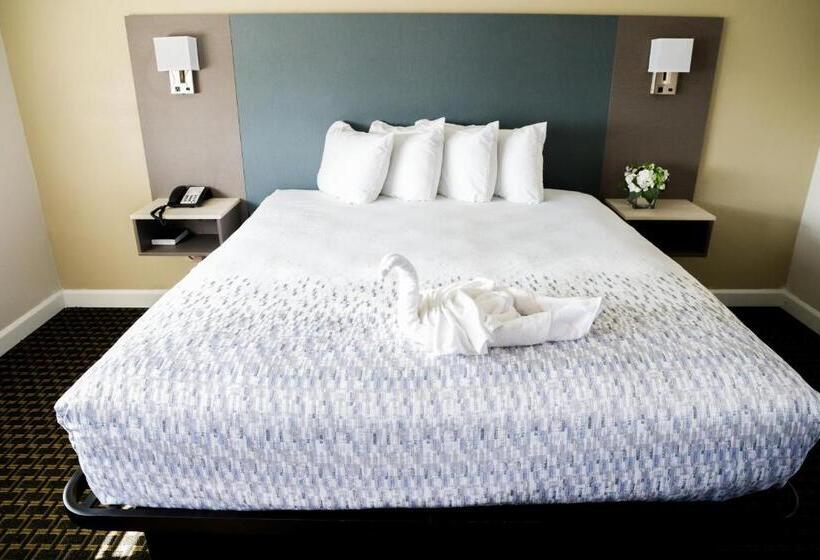 身障者適用スタンダードルーム, Sea Breeze Inn San Simeon