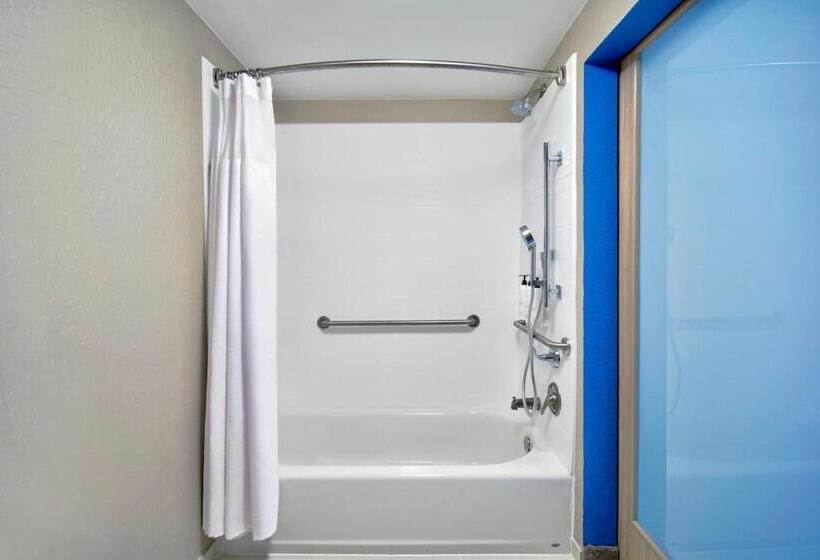 带大床的套房, Springhill Suites Erie