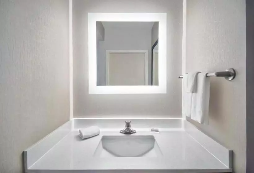 سوئیت با تخت بزرگ, Springhill Suites Erie