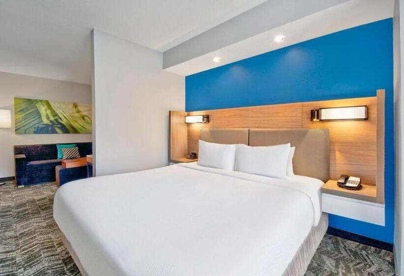 带大床的套房, Springhill Suites Erie