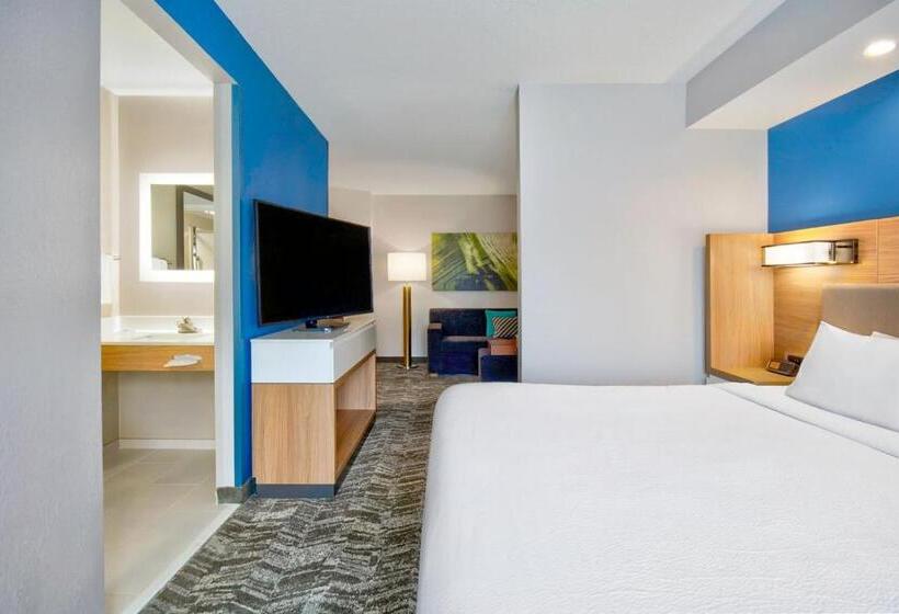 جناح سرير كينج, Springhill Suites Erie