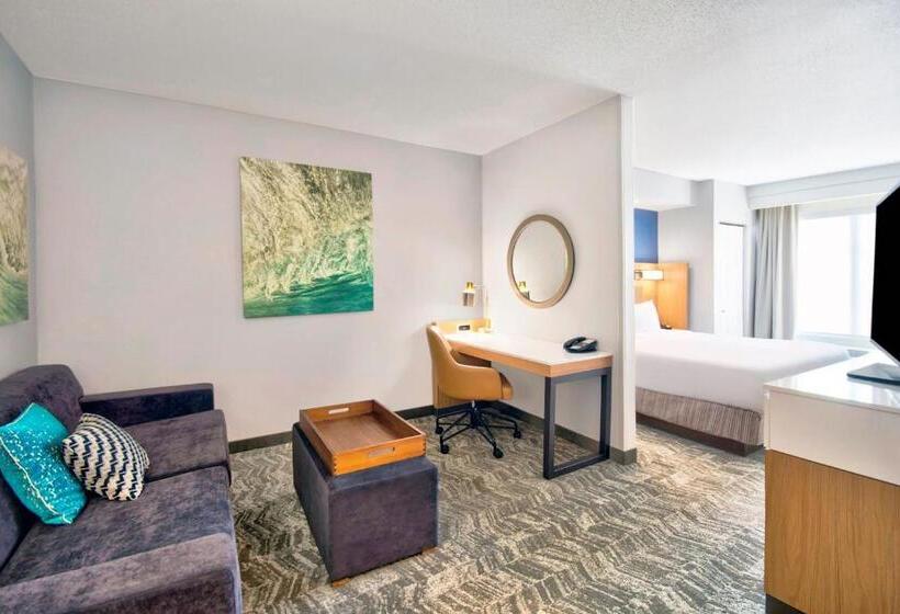 جناح سرير كينج, Springhill Suites Erie