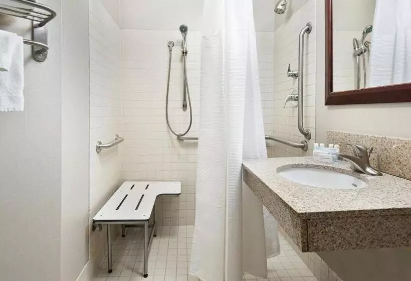 キングサイズベッドのスイートルーム, Springhill Suites By Marriott Wheeling Triadelphia Area