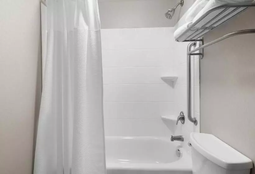 スイート, Springhill Suites By Marriott Wheeling Triadelphia Area