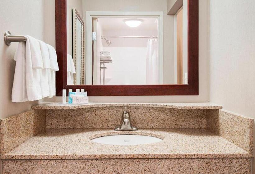 スイート, Springhill Suites By Marriott Wheeling Triadelphia Area