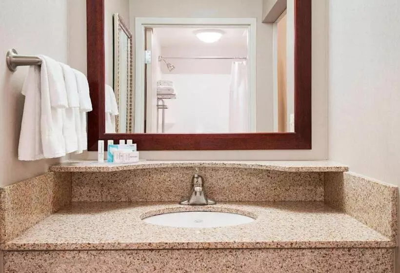 スイート, Springhill Suites By Marriott Wheeling Triadelphia Area