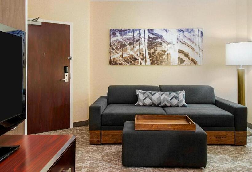 Люкс, Springhill Suites By Marriott Wheeling Triadelphia Area