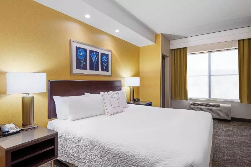 キングサイズベッドのスイートルーム, Springhill Suites By Marriott Wheeling Triadelphia Area