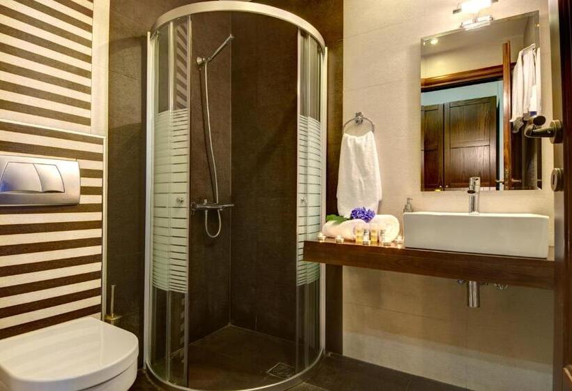 Трехместный Номер Стандарт с Балконом, Zagora