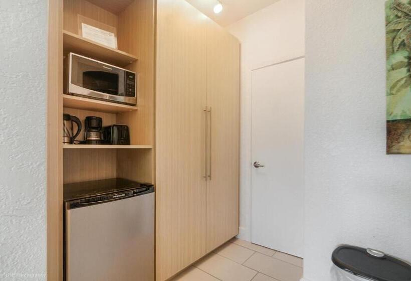 豪华工作室, Soleado