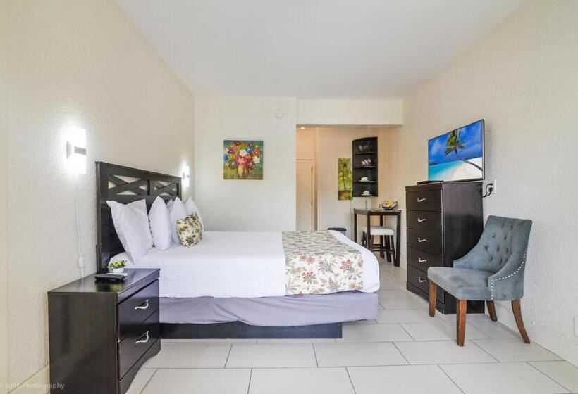 豪华工作室, Soleado