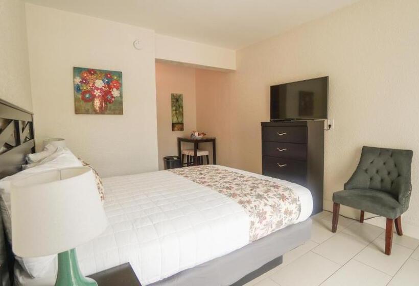 豪华工作室, Soleado