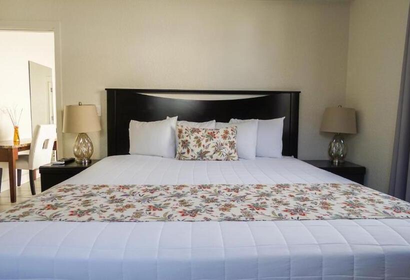 带1个卧室的公寓, Soleado