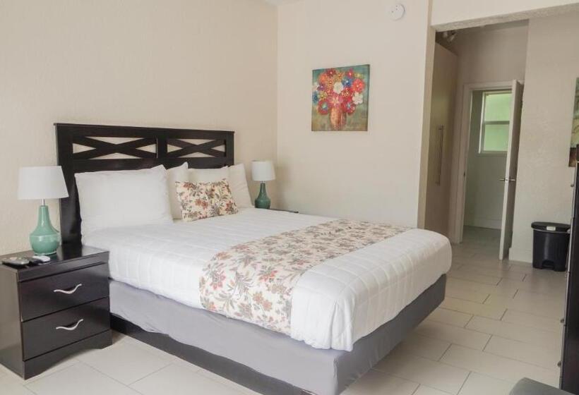 豪华工作室, Soleado