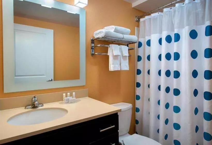 سوئیت 2 خوابه, Towneplace Suites Republic Airport Long Island Farmingdale
