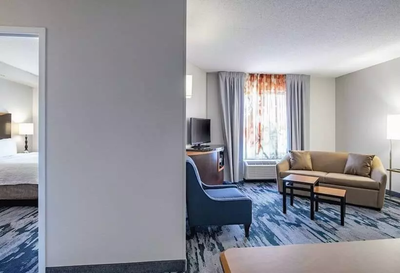 スイート, Fairfield Inn & Suites By Marriott Winnipeg