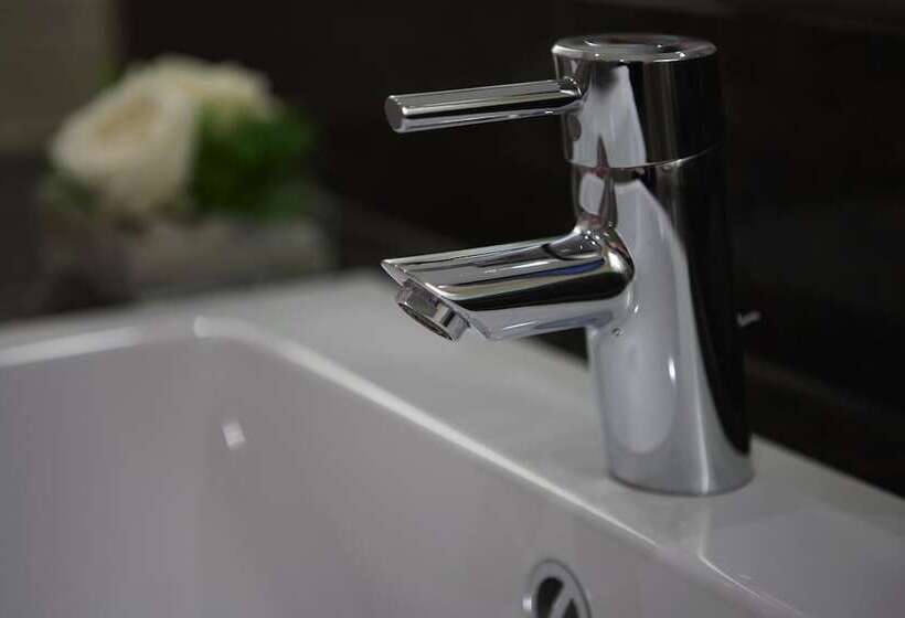 비즈니스룸, Intercityhotel Darmstadt