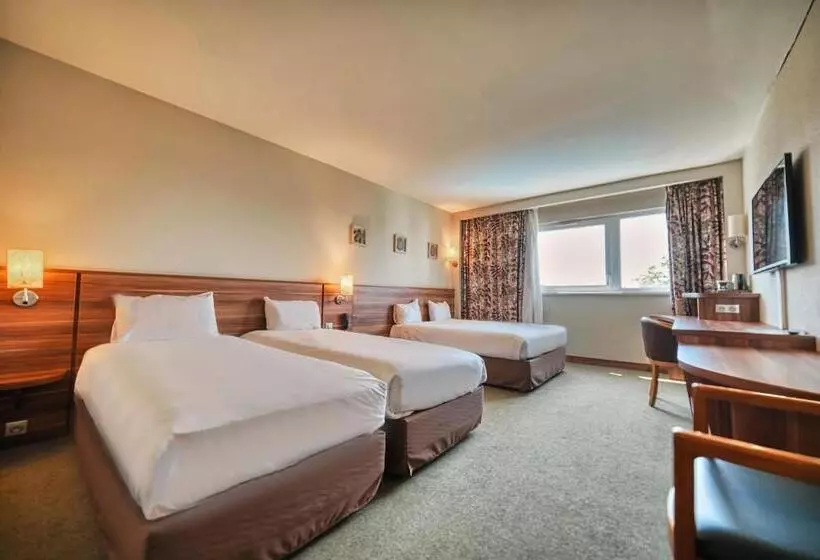 Executive Kolmen Hengen Huone, Kyriad Prestige Mulhouse Basel