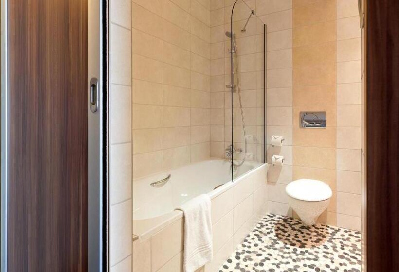 行政三人间, Kyriad Prestige Mulhouse Basel