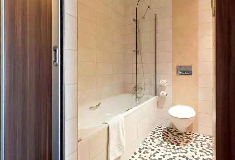 Executive Kolmen Hengen Huone, Kyriad Prestige Mulhouse Basel