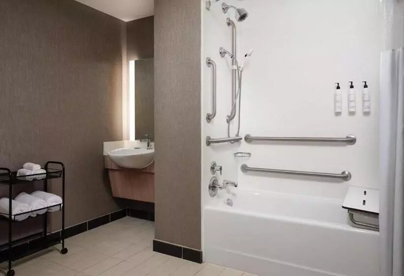 キングサイドベッドのスタンダードワンルーム, Springhill Suites Minneapolisst. Paul Airport/mall Of America