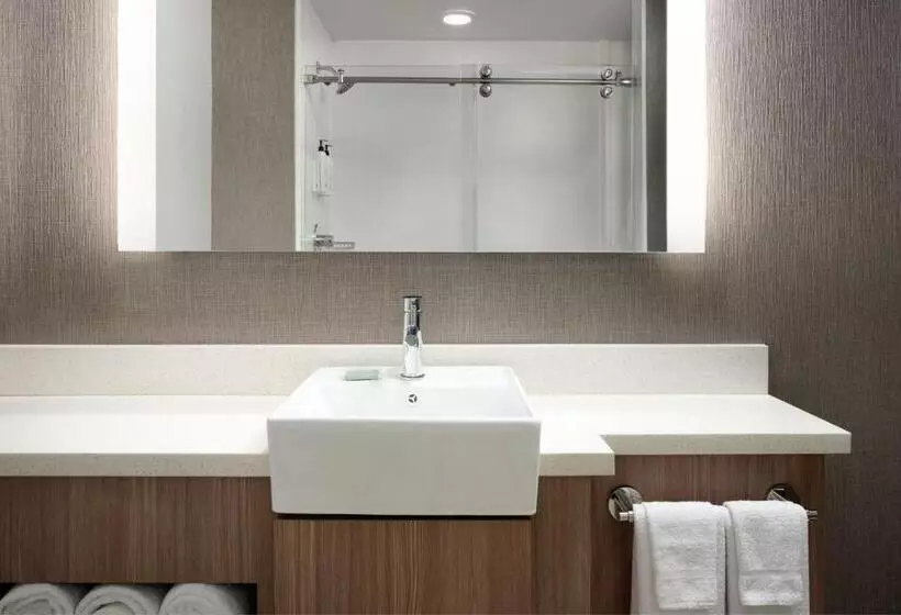 キングサイドベッドのスタンダードワンルーム, Springhill Suites Minneapolisst. Paul Airport/mall Of America