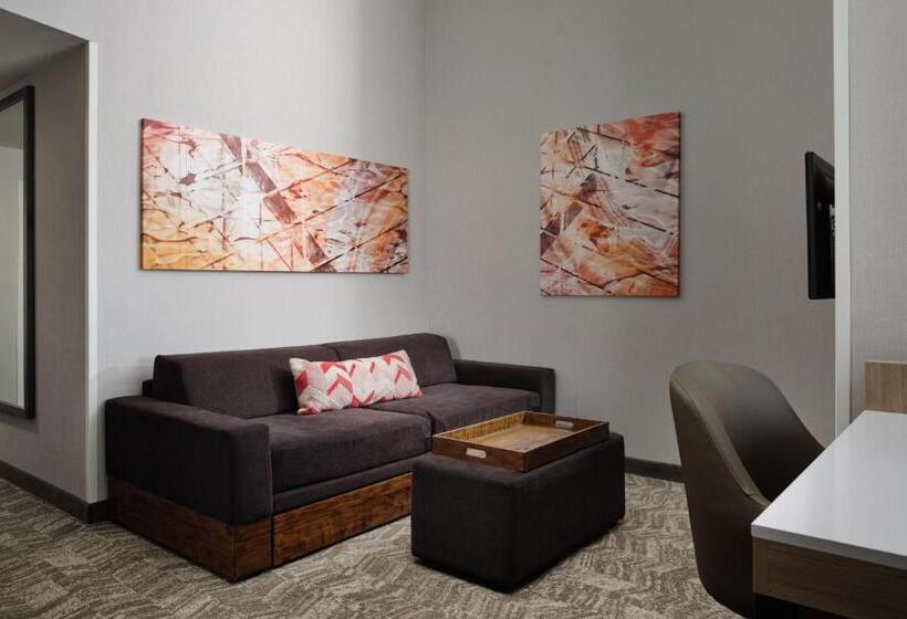 إستوديو قياسى سرير كينج, Springhill Suites Minneapolisst. Paul Airport/mall Of America