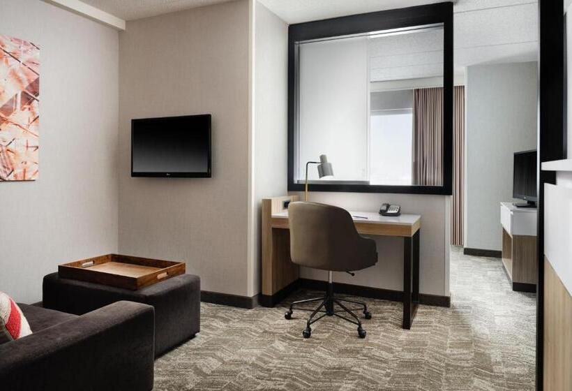 Студио Стандарт Кровать Кинг, Springhill Suites Minneapolisst. Paul Airport/mall Of America