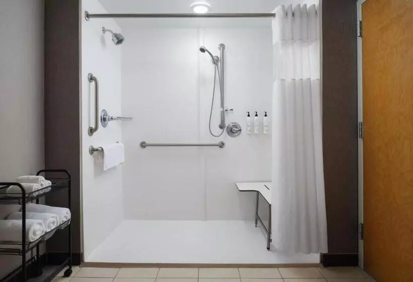スタンダードスタジオ, Springhill Suites Minneapolisst. Paul Airport/mall Of America